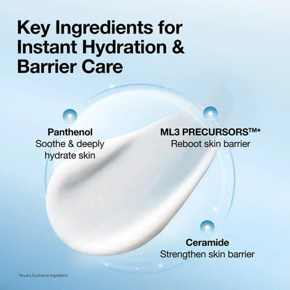 ANUA Barrier Reboot Daily Moisturizer - 100m