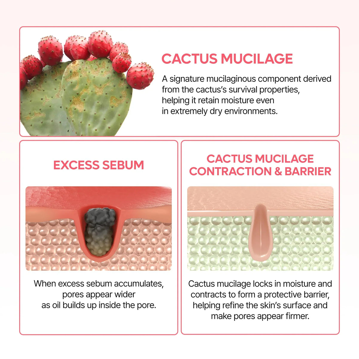 DR MELAXIN CACTOX PORE RELIEF DUAL CAPSULE CREAM